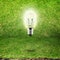 Shining bulb in grass room background,eco idea