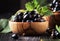 Shining fresh black currants in wooden bowls, summer harvesting, black kitchen table background, place for text, selective focus