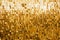 Shining golden mosaic glass background