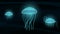 Shining jellyfish deep in the sea