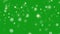 Shining stars and snow flakes with green screen background