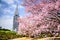 Shinjuku Gyoen Park in the Springtime