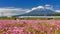 Shinkansen or Bullet train at Fujisan