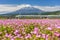 Shinkansen N700 and Mount Fuji