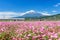 Shinkansen at pink flower and mount fuji,  Shizuoka