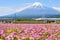 Shinkansen thundering to Mountain Fuji