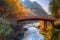 Shinkyo Bridge during autumn in Nikko