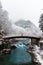 Shinkyo sacred bridge