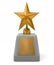 Shinning Star Award