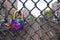 Shinny purple blue lock on a subway / train overpass fence with carved heart and initials.