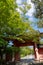 Shinnyo-do Temple of fresh verdure, Kyoto, Japan