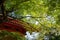 Shinnyo-do Temple of fresh verdure, Kyoto, Japan