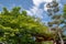 Shinnyo-do Temple of fresh verdure, Kyoto, Japan