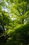 Shinnyo-do Temple of fresh verdure, Kyoto, Japan