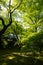 Shinnyo-do Temple of fresh verdure, Kyoto, Japan