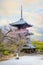 Shinnyodo or Shinshogokurakuji temple founded in 984 its name refers to Sukhavati which means the