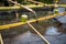 The Shinto Omairi cleansing ceremony by using water in bamboo scoop before enter to temple in Japan.