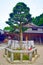 A Shinto shrine and tree