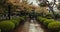 Shinto temple, trees and outdoor with statue, rain and path with architecture, faith or Japanese religion. Building