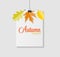 Shiny Autumn Natural Leaves Background. Vector