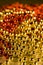 Shiny Beads for background christmas design eleme