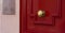 Shiny Brass Doorknob on red wooden door