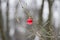 Shiny Christmas toy red lonely ball on bare tree branch in winter park.