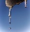 shiny clear ice icicles hang on a clear day