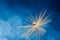 A shiny drop of water on the dandelion fluff. Abstract beautiful blue background. macro, soft focus. Beautiful greeting card for