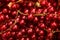 Shiny fresh juicy red berries.Abstract background from ribes.Copy space for text