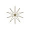 Shiny Gold Star. Form of first. Illustration for design on white background