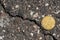 Shiny golden bitcoin on cracked pavement