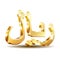 Shiny golden Rial currensy sign. Symbol of Saudi monetary unit.