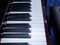 Shiny grand piano ebony and ivory keys. Details of a keyboard of a piano.