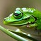 The shiny green frog is a captivating creature that immediately draws attention with its vibrant coloration