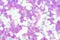 Shiny holographic glitter background, texture in luxury violet tone for your Christmas design.