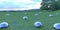 Shiny metal balls stick out of the ground on a field covered with green grass, reflecting the cloudy evening sky. 3d render