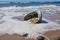 Shiny nacre Abalone shell washed ashore onto beach
