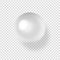 Shiny natural white sea pearl with light effects on transparent background.