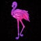 Shiny neon pink flamingo, vector illustration
