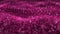 Shiny pink glitter Christmas VJ seamless loop abstract motion background