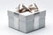 Shiny Silver Ribbon Bow Adorns Gift Box - Elegant Present for Special Occasions. Luxury Gifting Concept, Celebratory Decoration,