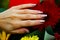 shiny sparkling nude nails on the background of multi-colored colorful flowers