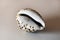 Shiny Spotted Cowry Shell on a Table