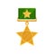 Shiny star shaped medal with green ribbon. Military golden award. Reward for bravery and valor. Flat vector icon