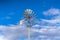 Shiny steel windpump against a vibrant blue sky with cottony clouds