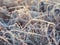 Shiny transparent crystals of cold frost cover grass on field in morning Sunny winter day