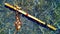 Shiny varnished river cane Native American six holes flute