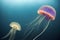Shiny vibrant fluorescent jellyfish glow underwater dark neon dynamic pulsating ultraviolet blurred background. Fantasy