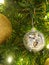 Shiny Xmas ball on gree pine tree